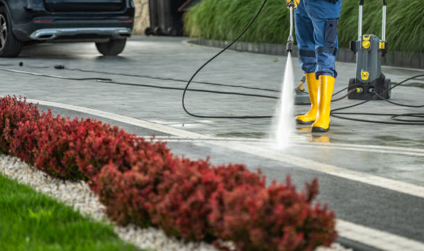 Best Fence Pressure Washing  in Linln Park, CO