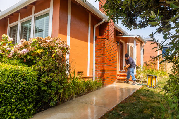 Deck Cleaning Services in Lincoln Park, CO