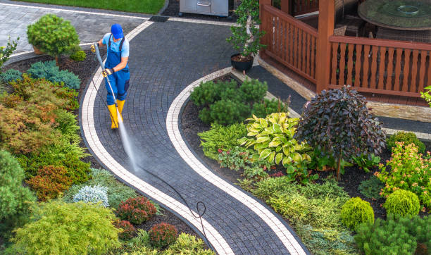 Best Roof Pressure Washing  in Linln Park, CO